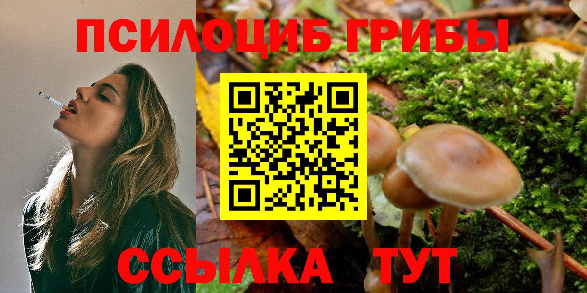 Псилоцибиновые грибы мухоморы  Вход с VPN  Галлюциногенные грибы Magic Shrooms  Нягань 